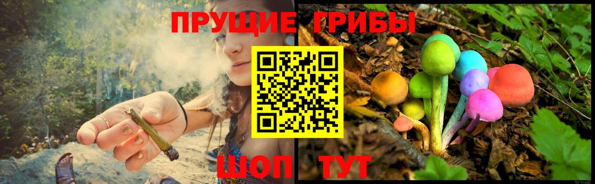 Коряжма  Псилоцибиновые грибы Cubensis  Вход с VPN  Галлюциногенные грибы мицелий 